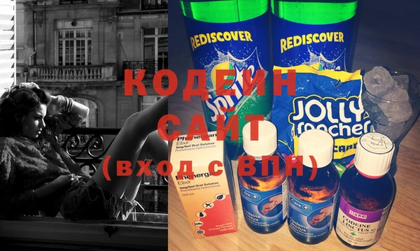 индика Каменка