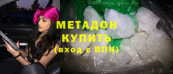 индика Каменка