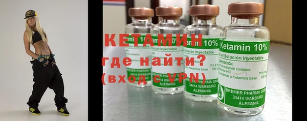 индика Каменка