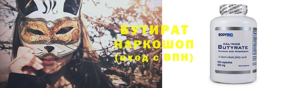 индика Каменка