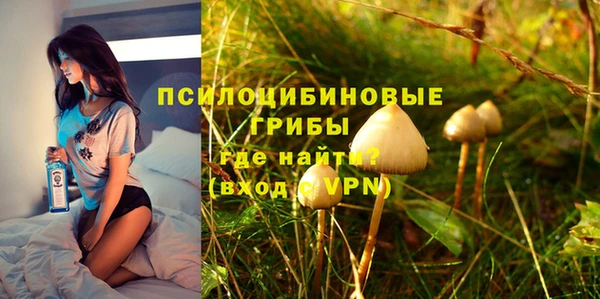 индика Каменка