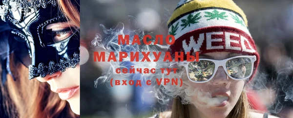 индика Каменка
