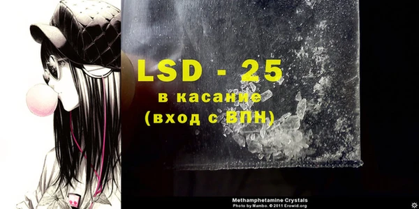 индика Каменка