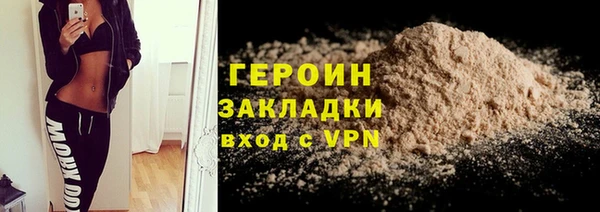 индика Каменка